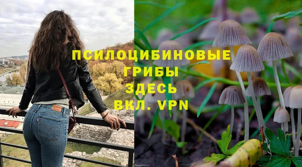 ECSTASY Михайловка