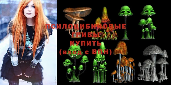 бошки Белая Холуница