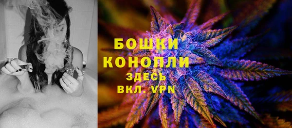 индика Белокуриха