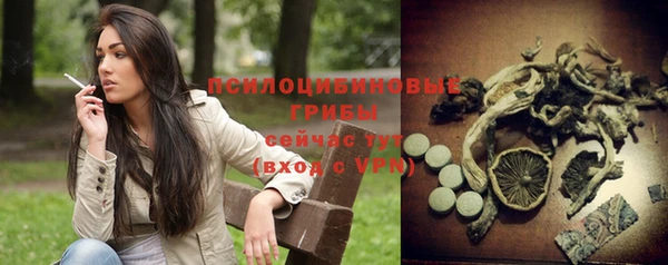 ECSTASY Михайловка