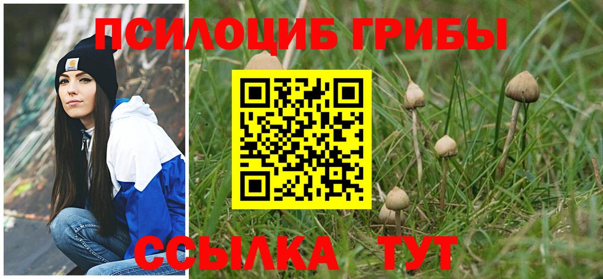 Альфа ПВП Майский